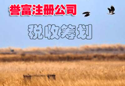 教你如何高效完成上海公司注冊(cè)?